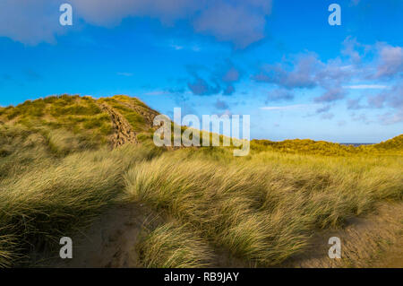 I sentieri attraverso le dune di sabbia a Formby Beach, Inghilterra. Foto Stock