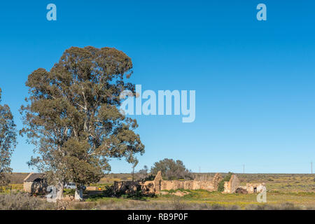 NIEUWOUDTSVILLE, SUD AFRICA, 29 agosto 2018: l'area campeggio a Matjiesfontein fattoria nel nord della provincia del Capo. Le rovine sono visibili Foto Stock