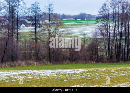 Piccole strisce di neve sui campi arati e prati. Forest e caseificio in background. L'inizio dell'inverno in Europa. Foto Stock