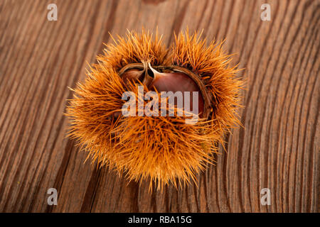 Fresche dolci di castagne nel guscio su un tavolo Foto Stock