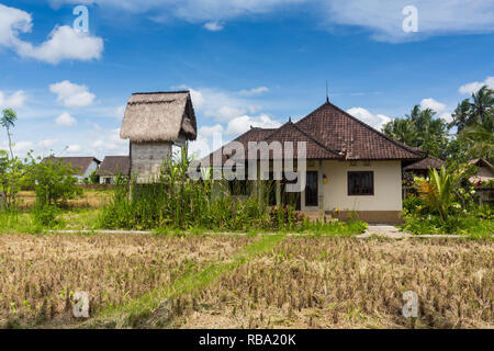 Casa rurale in luce del sole di mattina in piedi sul campo di riso in Penestanan posto nei pressi di Ubud, Bali, Indonesia Foto Stock