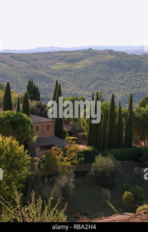 Vista su tutta la campagna toscana da Viale della Libertà, Montalcino, Toscana, Italia Foto Stock