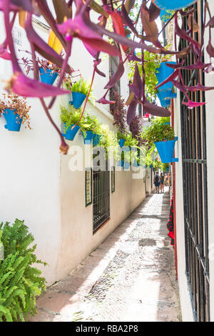 I turisti della vecchia vicolo di Calleja De Las Flores, Cordoba, Andalusia, Spagna Foto Stock
