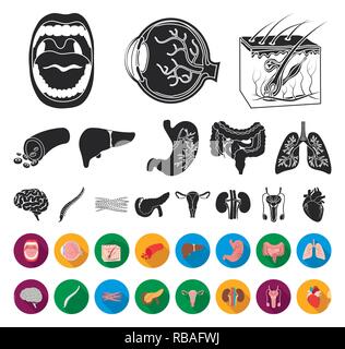 Anatomia,l'arte,Black,appartamento,boold,cervello,raccolta,design,malattia,eyeball,carne,,gastrointestinale la salute,cuore,uomo,icona,immagine,,interno isolato,rene,fegato,logo,polmoni,maschio, la medicina, bocca,muscolo,organo,pancreas,,riproduttiva impostare,segno,pelle,colonna vertebrale,stomaco,il simbolo,sistema,tratto,utero,vettore,nave,web, Vettori vettore , Illustrazione Vettoriale