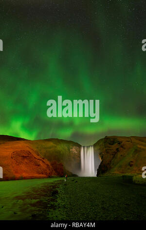 Cascata Skogafoss con Aurora Boreale, Islanda Foto Stock