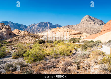 Il Red Rock Canyon National Conservation Area a Las Vegas, Nevada, STATI UNITI D'AMERICA Foto Stock