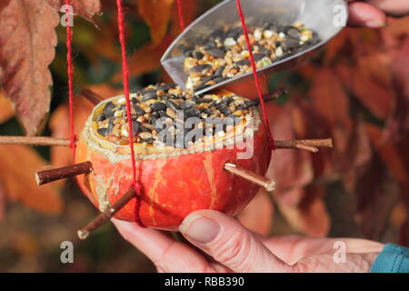 La donna si riempie in casa di zucca alimentatori di uccelli con semi, Ottobre, REGNO UNITO Foto Stock
