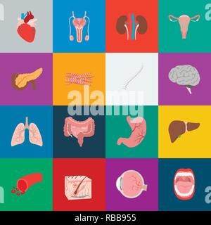 Anatomia,l'arte,boold,cervello,cartoon,raccolta,design,malattia,eyeball,carne,,gastrointestinale la salute,cuore,uomo,icona,immagine,,interno isolato,rene,fegato,logo,polmoni,maschio, la medicina, bocca,muscolo,organo,pancreas,,riproduttiva impostare,segno,pelle,colonna vertebrale,stomaco,il simbolo,sistema,tratto,utero,vettore,nave,web, Vettori vettore , Illustrazione Vettoriale