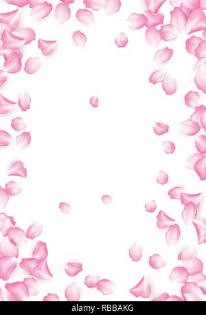 Rosso caduta dei petali di rosa isolato su sfondo bianco. Illustrazione Vettoriale Illustrazione Vettoriale