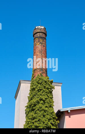 Vecchia ciminiera in mattoni contro il blu cielo senza nuvole. Foto Stock