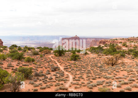 Il percorso che conduce al canyon Buck e Aeroporto Torre in Nazionale di Canyonlands Foto Stock