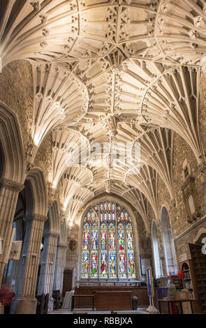 Ottery St Mary, Devon Foto Stock