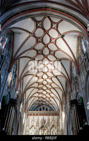 Ottery St Mary, Devon Foto Stock