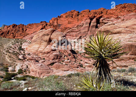 Il calicò colline presso il Red Rock Canyon National Conservation Area, un popolare escursioni e arrampicate su roccia destinazione ad ovest di Las Vegas, Nevada. Foto Stock