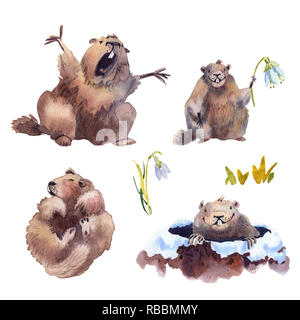 Felice Festa della Mamma - disegnato a mano Collezione acquerello illustrazioni scheda carattere marmotta Foto Stock