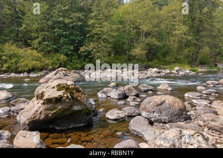 Rocce e pietre di muschio in impetuoso fiume poco profondo in estate Foto Stock