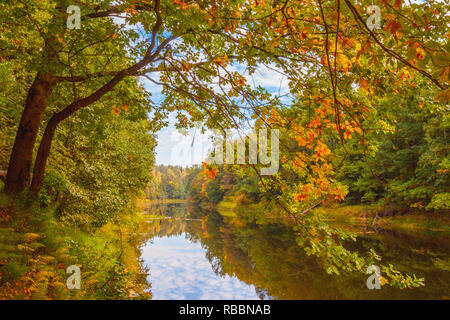Mattina sul fiume Kerzhenets, Nizhny Novgorod Foto Stock