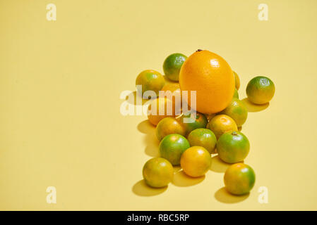 Gli agrumi sono su una luce sfondo giallo. Kumquat, limone, mandarino, arancia sono su sfondo giallo - Immagine Foto Stock