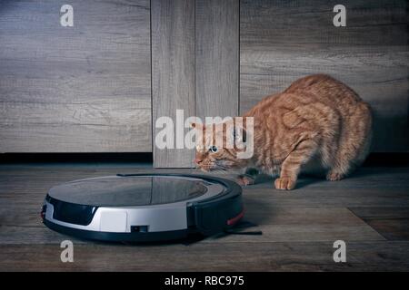 Lo zenzero divertente gatto in agguato dietro un robot aspirapolvere Foto  stock - Alamy
