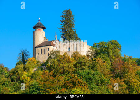 Il castello di Birseck, Arlesheim, Basel-Country, Svizzera Foto Stock