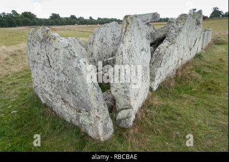 Resti di antiche sepolture in Ekornavallen. Falköping distretto. La Svezia. Europa.it è più vecchio del famoso Stonehenge in Inghilterra. Foto Stock