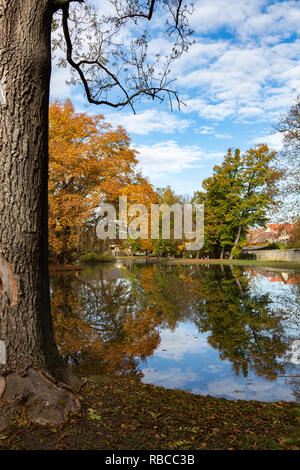 Un lago artificiale nella grande in stile inglese giardino di un ex castello di Peresznye, Ungheria. Foto Stock