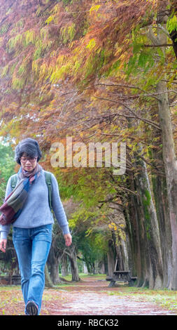 Il classico blad cypress scena di Taiwan cipresso calvo alberi riflessione, Taiwan Foto Stock