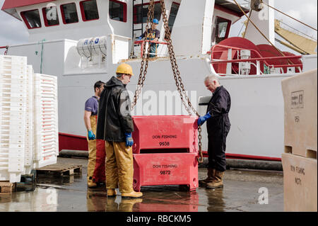 3 pescatori del Mare del Nord che si preparano per una pesca d'altura nel porto di Peterhead, Scozia. Foto Stock