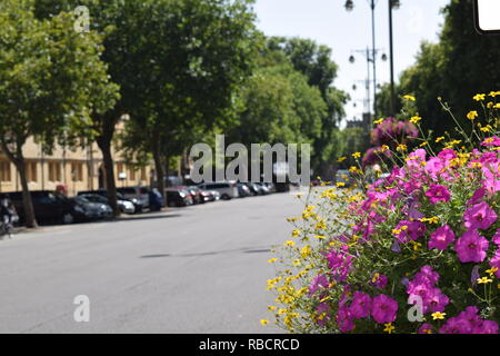 Fiori e st Johns College di Oxford estate 2018 Foto Stock