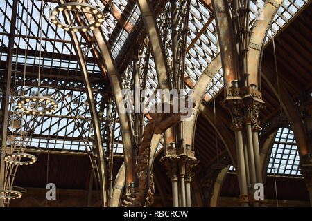 Testa di scheletro di un museo di storia naturale a Oxford Foto Stock