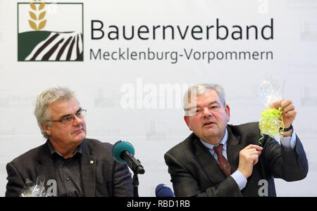 Malchow, Germania. 9 Gen, 2019. Detlef Kurreck (l), il Presidente dello Stato associazione di agricoltori e Dietmar Brauer, Managing Partner di Norddeutsche Pflanzenzucht Hans-Georg Lembke KG, informare circa i prossimi problemi e compiti dello Stato associazione di agricoltori nel corso di una conferenza stampa presso il seme azienda di allevamento sull'isola di Poel. Credito: Bernd Wüstneck/dpa/Alamy Live News Foto Stock