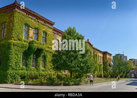 Casa 5, nel quartiere di Pankow di velluto, Fröbelstrasse, Prenzlauer montagna, Pankow, Berlino, Germania, Haus 5, Bezirksamt Pankow, Froebelstrasse, Prenzlauer essere Foto Stock