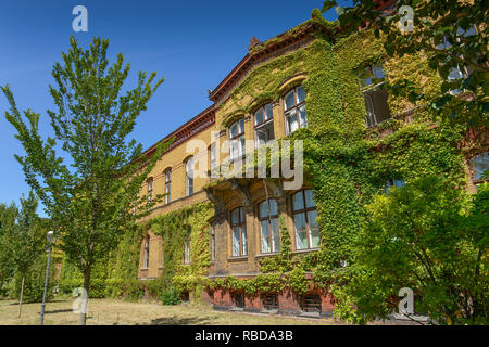 Casa 5, nel quartiere di Pankow di velluto, Fröbelstrasse, Prenzlauer montagna, Pankow, Berlino, Germania, Haus 5, Bezirksamt Pankow, Froebelstrasse, Prenzlauer essere Foto Stock