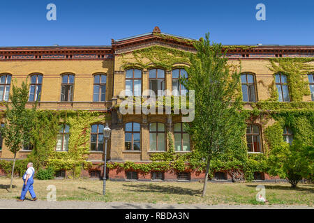 Casa 5, nel quartiere di Pankow di velluto, Fröbelstrasse, Prenzlauer montagna, Pankow, Berlino, Germania, Haus 5, Bezirksamt Pankow, Froebelstrasse, Prenzlauer essere Foto Stock