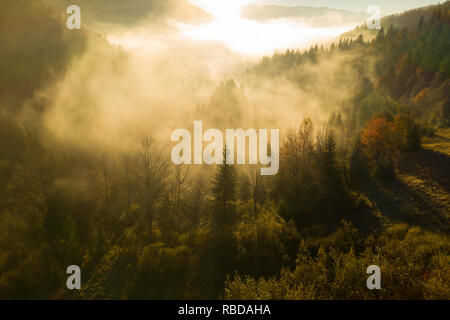 Una bella mattina nebbiosa in montagna, Ivano-Frankivsk, Oblast di Ucraina Foto Stock