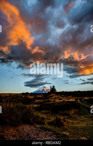 Tramonto in Ecuador il Parco Nazionale Cotopaxi Foto Stock