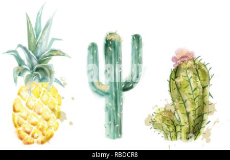 Ananas e cactus vettore set acquerello. Tropico esotici collezione stile verniciato Illustrazione Vettoriale