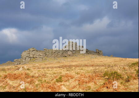 Hound Tor su Dartmoor Devon Foto Stock