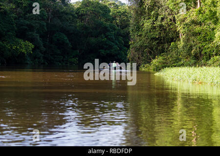 River safari, parco nazionale di Tortuguero, Costa Rica Foto Stock