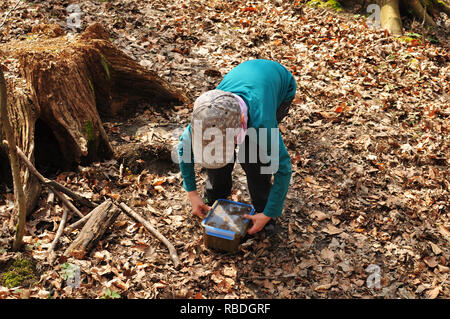 Geocaching boy trova una ben mimetizzata cache nella foresta Foto Stock