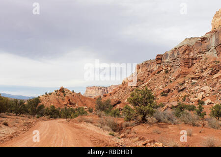 Una strada sterrata che si snoda attraverso gli alberi circondato da torreggianti scogliere a Capitol Reef National Park. Foto Stock