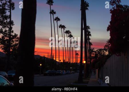 Rosso tramonto con palme Foto Stock