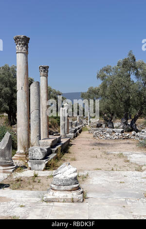 Vista lungo la East stoa del Agora verso l'angolo nord, antica città greca di Iasos, Turchia. I portici stoas costruzione è datata al Foto Stock