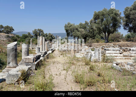 Vista lungo la East stoa del Agora verso l'angolo nord, antica città greca di Iasos, Turchia. I portici stoas costruzione è datata al Foto Stock