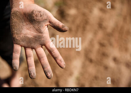 Un primo piano di un agricoltore e la mano è incrostato di sporcizia sarchiatura dopo un campo a mano su di una azienda agricola biologica Foto Stock