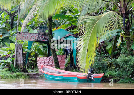 River safari, parco nazionale di Tortuguero, Costa Rica Foto Stock