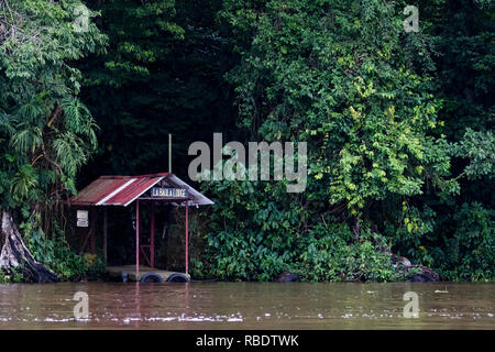 River safari, parco nazionale di Tortuguero, Costa Rica Foto Stock