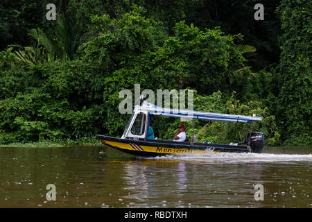 River safari, parco nazionale di Tortuguero, Costa Rica Foto Stock