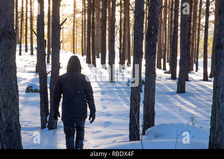 Sagoma umana nella foresta di inverno fra gli alberi nella neve Foto Stock