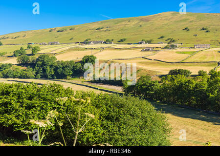 Yorkshire Dales,UK,Inghilterra, 2018. Il paesaggio agricolo del Yorkshire Dales durante una delle estati più calde registrate con assenza di precipitazioni.Paesaggio Foto Stock